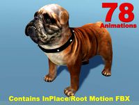 Dog - Bulldog (Full)