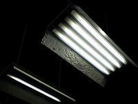 Industrial Fluorescent Light Fittings