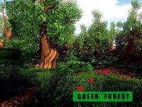 Green Forest