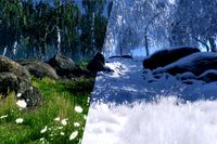 Dynamic Nature - Starter