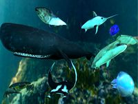 Sea Animals Pack v2 LowPoly