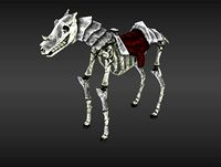 Skeleton Horse
