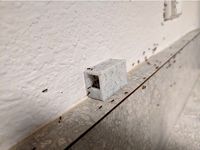 Liquid Bait Ant Trap - For Vertical/Wall Use by TinaBelcher