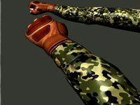 Animated FPS Hands!