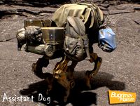 PBR Assistant Dog