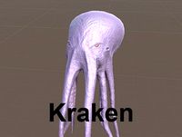 Kraken (octopus)