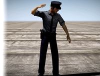 Basic Gesture Motion