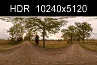 Road with Trees 2 HDR 3D Model