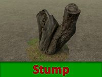 Photogrammetry stump