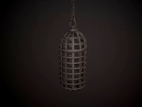 Torture Cage