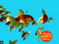 Fish School Goldfish