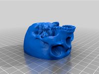 Floating Skull with holes removed by Jexoteric