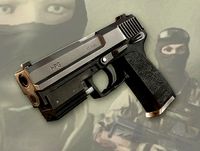 WA: Pistol