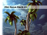 PBC Palm Pack 01