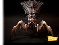 Character Arachnids