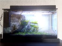 FluvaSpec 5 Aquarium Lid by brainstorm001
