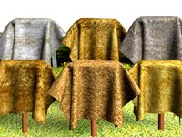 Fur 6pack 3D Model