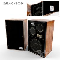 Audio system 25AS-309