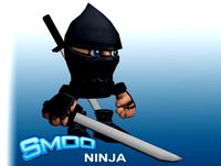 Smoo Ninja