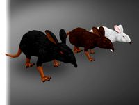 Stylized Monster: Giant Rat