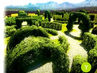 Yughues Hedges