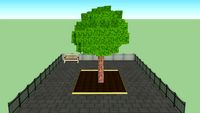 Baum, tree