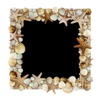 Mirror with shells