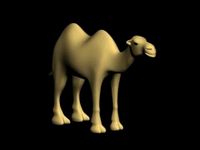 Camel 3D Model