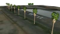 La Cigale Hotel -Trees - Doha - Qatar