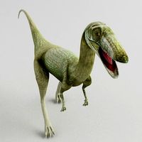 Coelophysis 3D Model