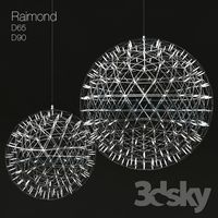 Raimond D90_D65