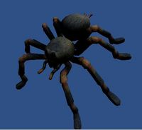 Spider 3D Model