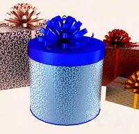 profi Gift in cylindrical box.