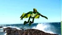 Toa Matau