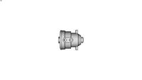 FCA Cylinder