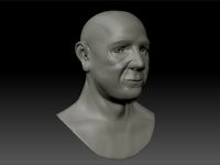 Human Bust 3D Model