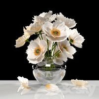 WHITE POPPIES