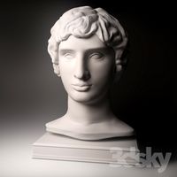 Bust