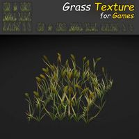 Timothy Grass 3D Model