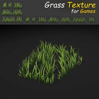 Wild Grass Texture 3D Model