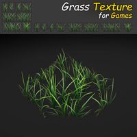 Blue Grass Texture 3D Model