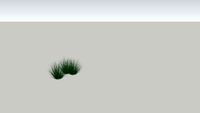 Grassy Plant