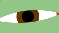 oog met bruin goude pupil