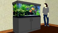 aquario,aquarium,