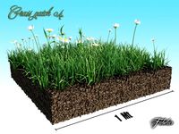 Grass patch 04 3D Model