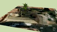 Palmera Filato