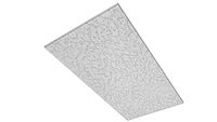 Generic 24x48 Ceiling Tile