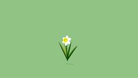 narciso