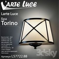 Larte luce Torino L 57722.88