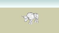 African Buffalo (adult male)